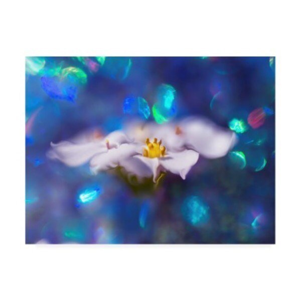 Gillian Hunt 'Jewels of the Enchanted Forest VI' Canvas Art, 14x19, Trademark Fine Art, Mfr#: WAG14638-C1419GG